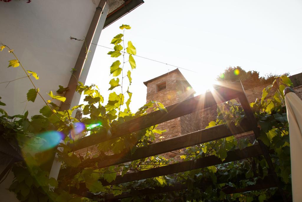 Gasthof Zum Goldenen Anker Hainburg an der Donau Kültér fotó